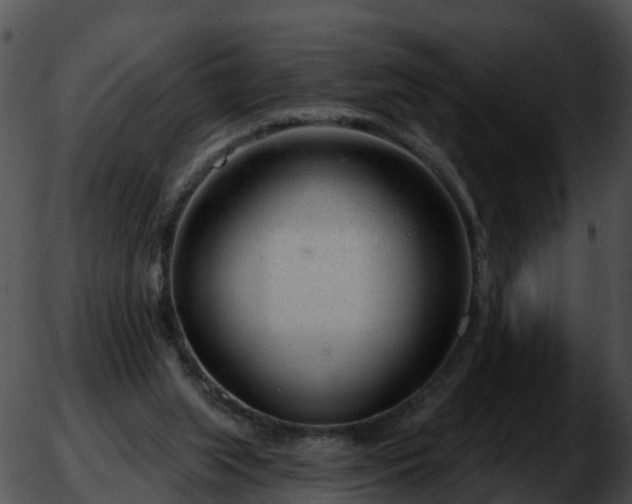 X0000051860063200507012351