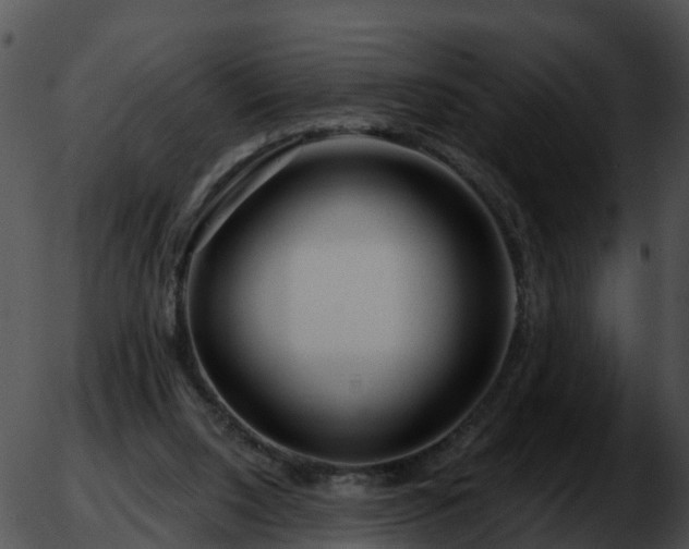 X0000051860064200507012351