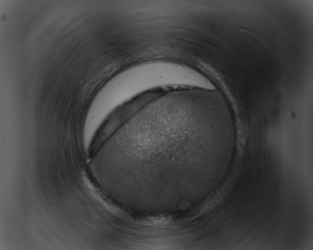 X0000051860065200507012351