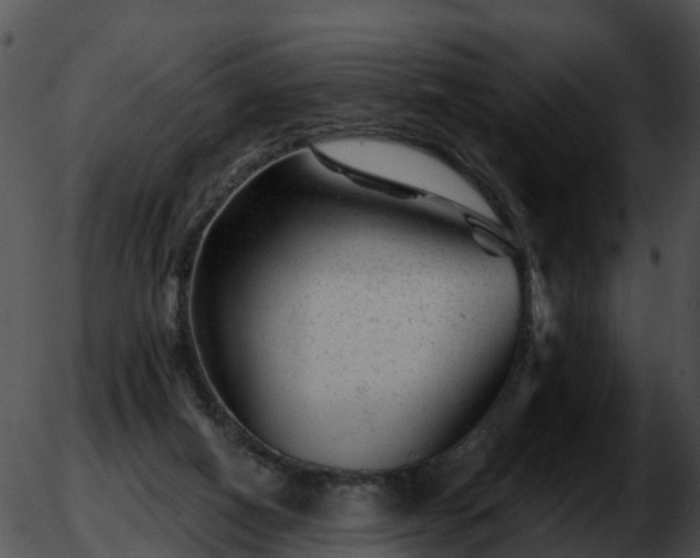 X0000051860066200507012351