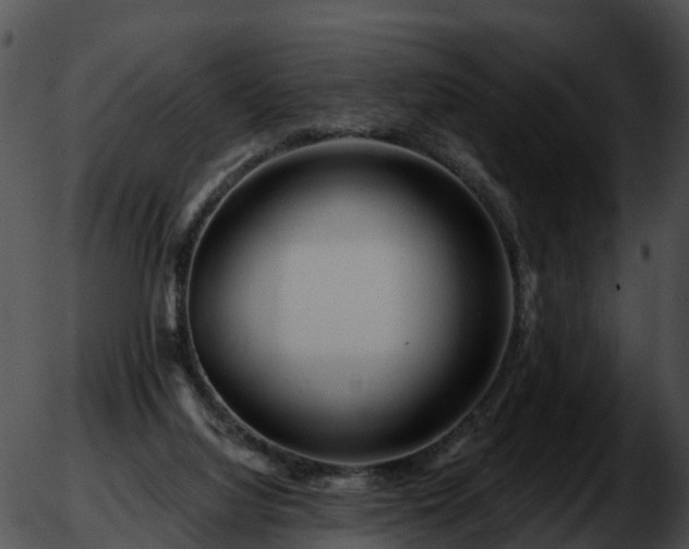 X0000051860068200507012351