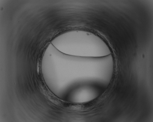 X0000051860069200507012351