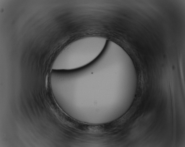 X0000051860070200507012351