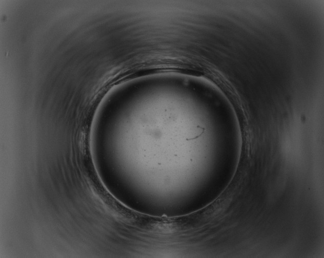 X0000051860071200507012351