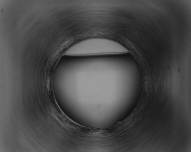 X0000051860072200507012351