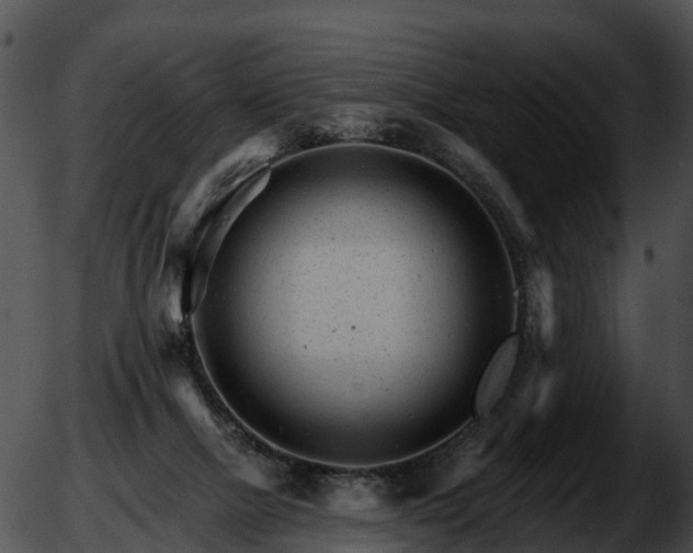 X0000051860073200507012351