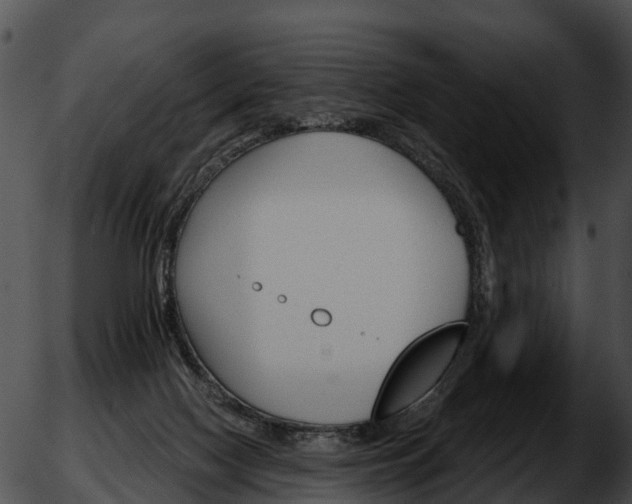 X0000051860074200507012351