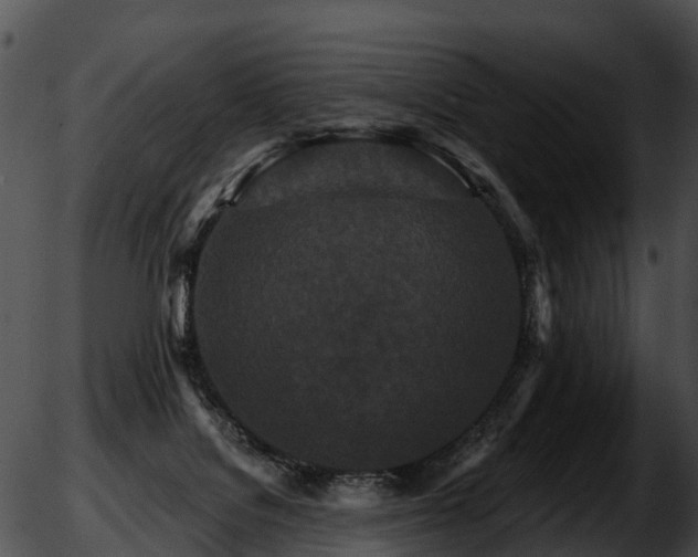 X0000051860076200507012351