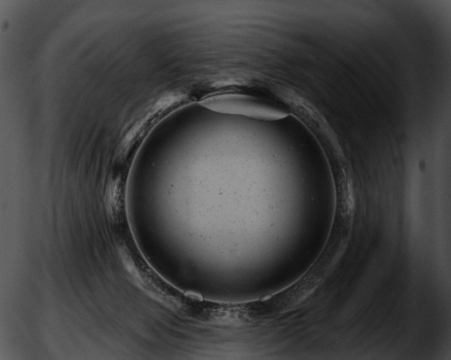 X0000051860077200507012351