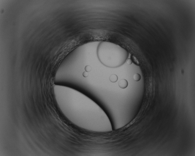 X0000051860078200507012351