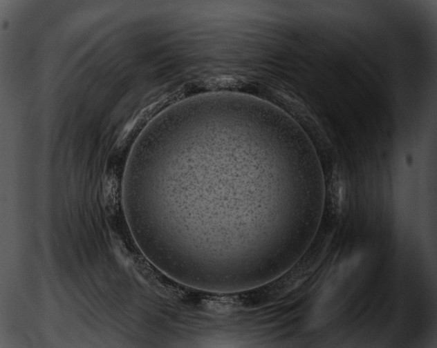 X0000051860079200507012351