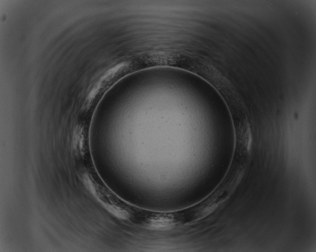 X0000051860080200507012351