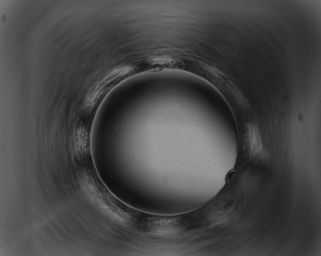 X0000051860081200507012351