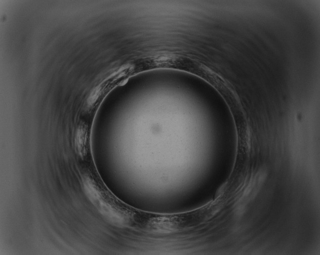 X0000051860082200507012351