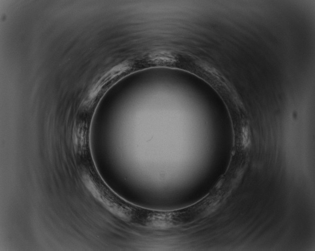 X0000051860084200507012351