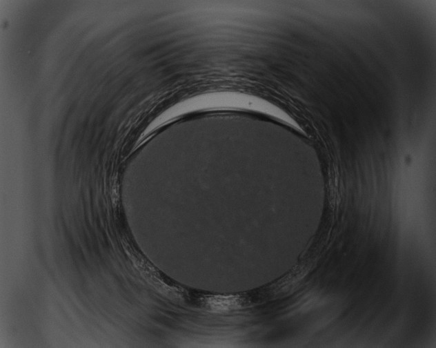 X0000051860085200507012351