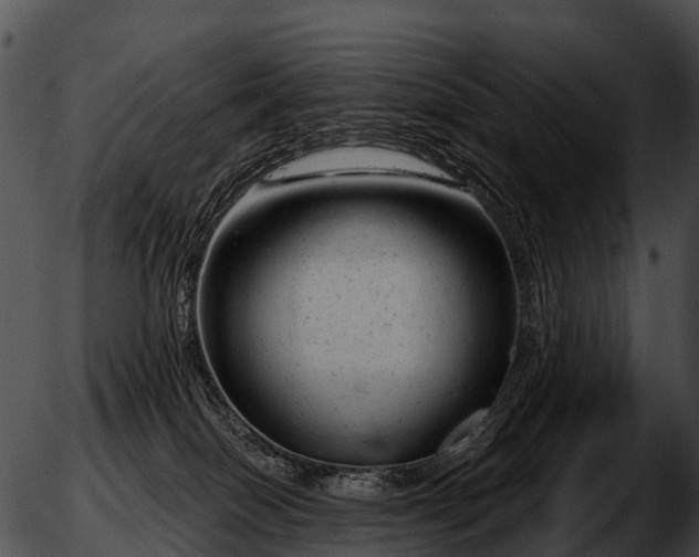 X0000051860086200507012351