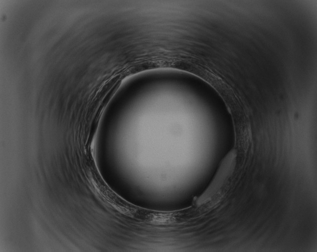 X0000051860088200507012351