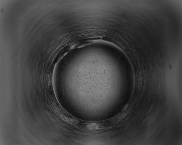 X0000051860091200507012351