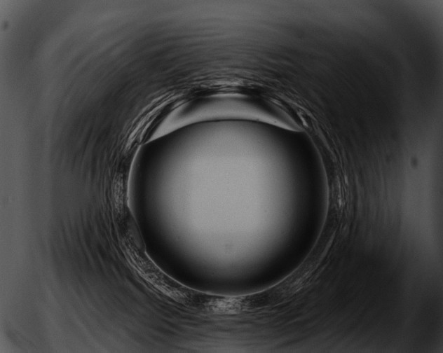 X0000051860092200507012351