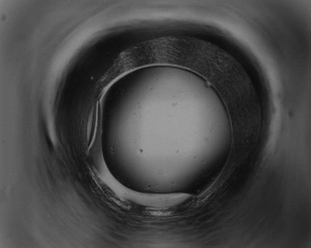 X0000051860093200507012351