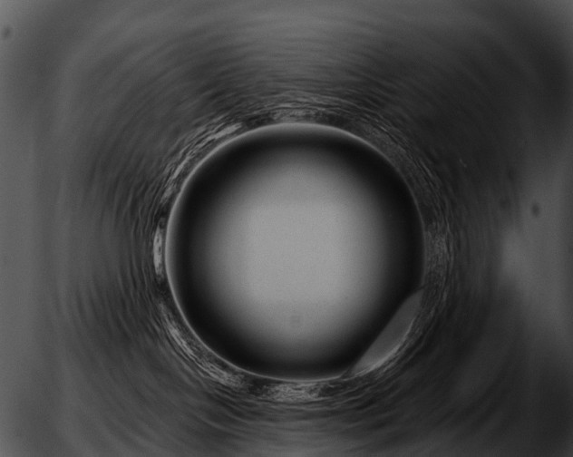 X0000051860094200507012351