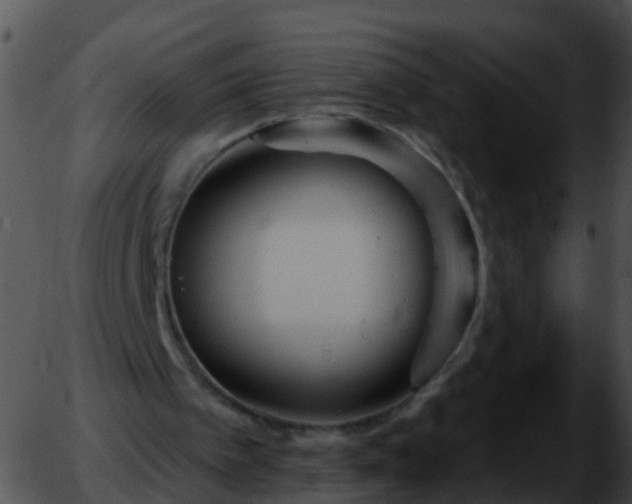 X0000051860097200507012350