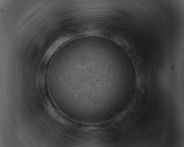 X0000051860098200507012350