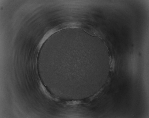 X0000051860099200507012350