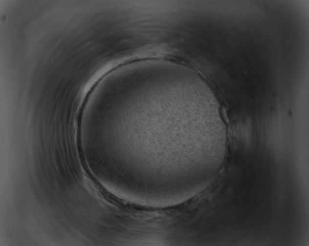 X0000051860100200507012350