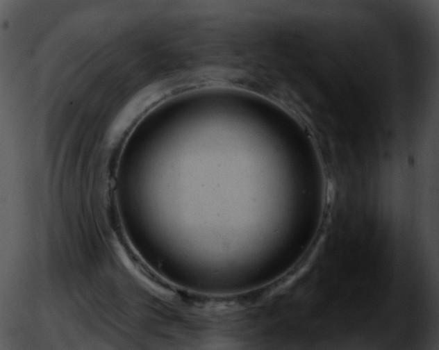 X0000051860101200507012350