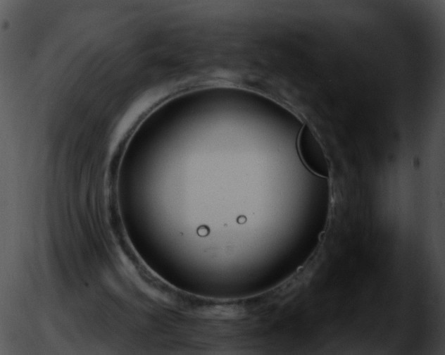 X0000051860102200507012350