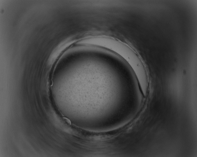 X0000051860103200507012350