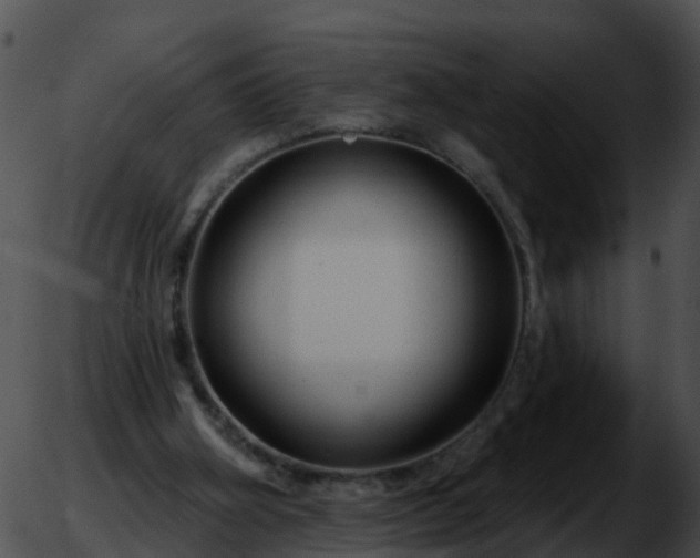 X0000051860106200507012350