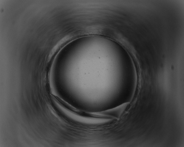 X0000051860107200507012350