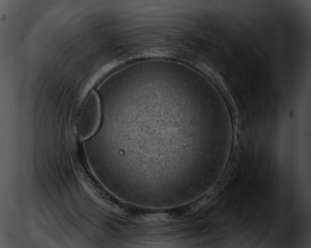 X0000051860108200507012350