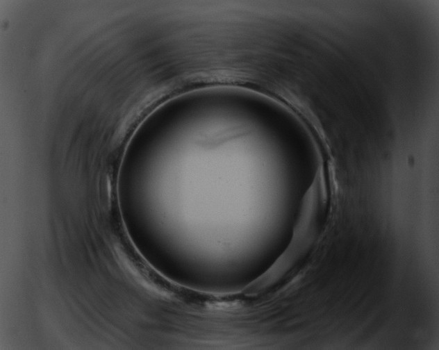 X0000051860109200507012350