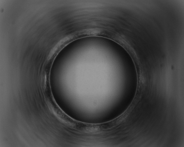 X0000051860110200507012350