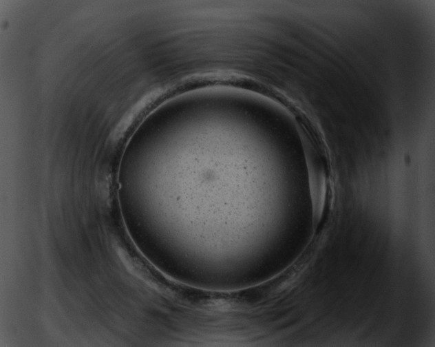 X0000051860111200507012350