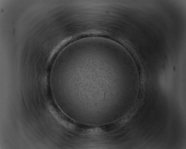 X0000051860112200507012350