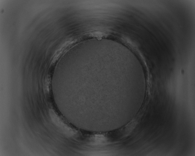 X0000051860114200507012350