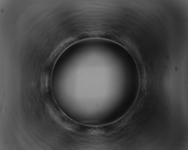 X0000051860115200507012350