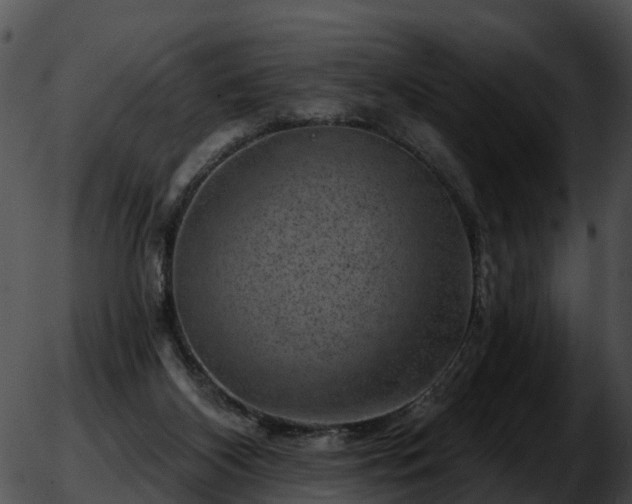 X0000051860116200507012350