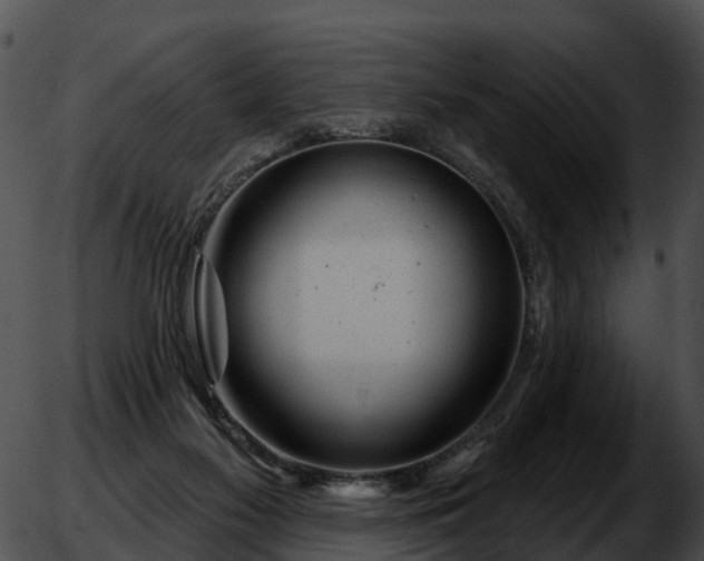 X0000051860117200507012350