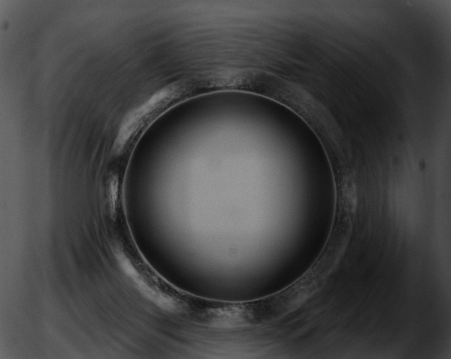 X0000051860118200507012350