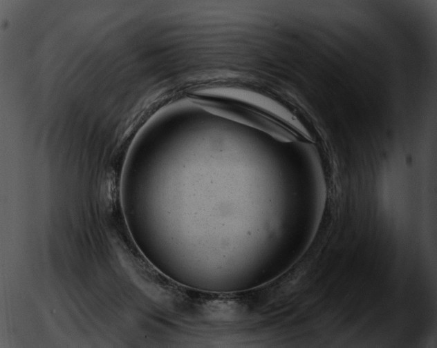 X0000051860119200507012350