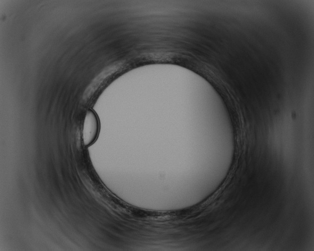 X0000051860120200507012350