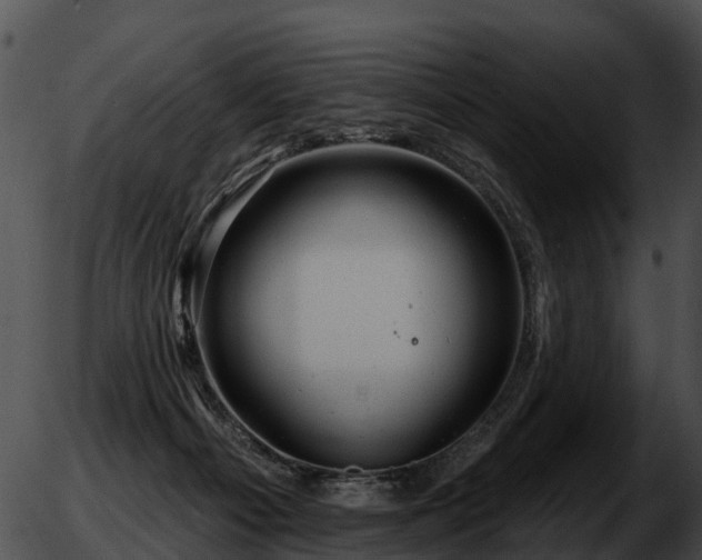 X0000051860121200507012350