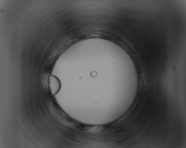 X0000051860122200507012350