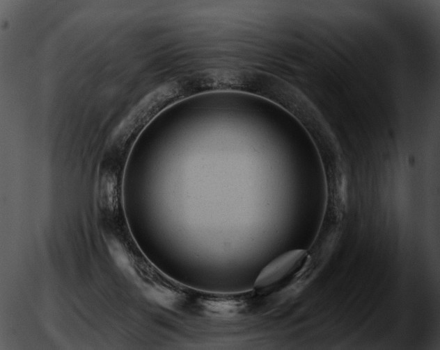 X0000051860123200507012350